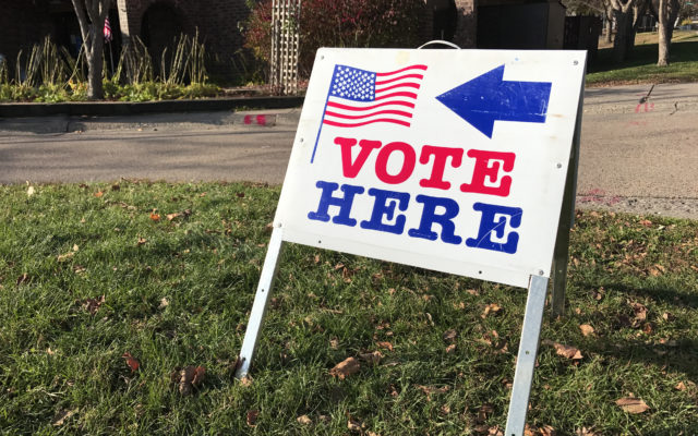 Younger people urged to work polls in Iowa because of virus